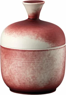 Imagen del producto de Rosenthal Scarlet, Dosis: 10590-405212-24995, 4012438580371