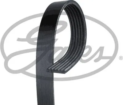 Immagine prodotto di GATES 6PK1238 Cinghia trapezoidale