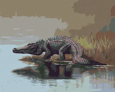 Image de Zuty - Peinture par numéros - ALLIGATOR MARCHANT DANS L'EAU (D. RUSTY RUST), 40 x 50 cm, sans cadre et sans toile tendue