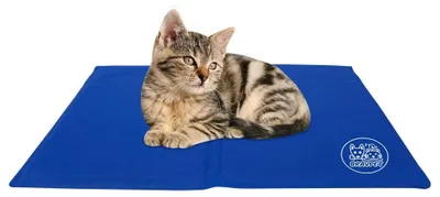 Imagen del producto de Esterilla refrigerante para perros - Autorrefrigerante - 50 x 40 cm - Para perros de hasta 60 kg