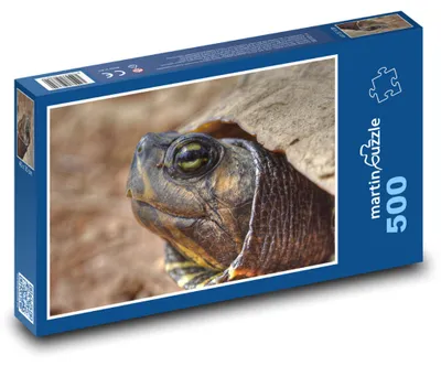 Produktbild von martinpuzzle - Puzzle 500 Teile - Schildkrötenkopf