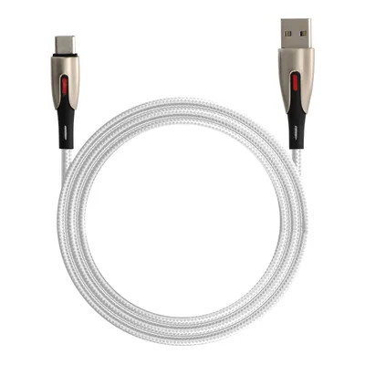 Obrázok produktu pre LinQ, USB / USB-C Fast Charge 5A synchronizačný kábel s nylonovým opletením 1,2 m, strieborný