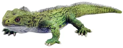 Produktbild von Safari Ltd Tuatara Figur Grün  Kinder Grün One Size