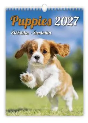 Image de Calendrier 2027 : Chiots (N181-27)