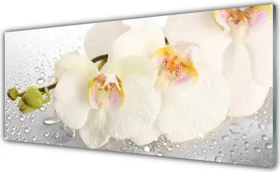 Produktbild von Glasbilder 125x50 Wandbild Druck auf Glas Blumen Pflanzen