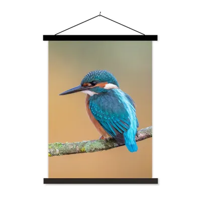 Produktbild von MuchoWow® Textilposter Vogel - Eisvogel - Tiere - Zweig 90x120 cm mit schwarzem Rahmen - Dekoration
