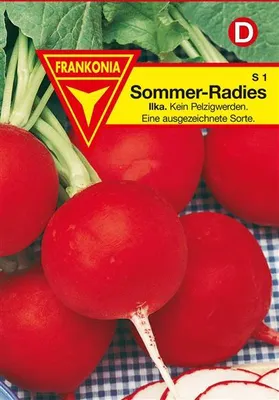 Produktbild von Radies Ilka