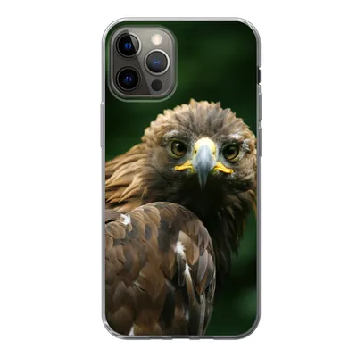 Produktbild von MuchoWow® Handyhülle Schutzhülle Hülle für iPhone 12 Pro Adler - Braun - Raubvogel Silikon Softcase Handy Hülle - Abdeckung