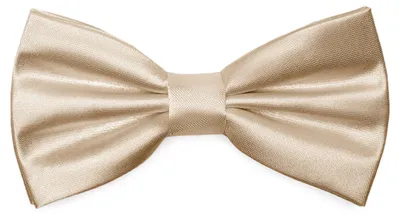 Produktbild von Ladeheid Elegante Herren Fliege -Hochwertig Glänzend Verstellbar BMS (12cmx6cm)