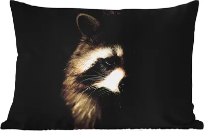 Produktbild von MuchoWow® Outdoor Kissen - Waschbär - Wilde Tiere - Schwarz - 60x40 cm - Wetterfest - Lounge Kissen - Zierkissen - Kissen für Innenräume