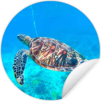 Produktbild von MuchoWow® - Wandbild - Fototapete - Selbstklebend - Dekoration - Wandschmuck - Schlafzimmer