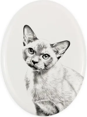 Immagine prodotto di Art-Dog Targa commemorativa in Vetroceramica – Burmese