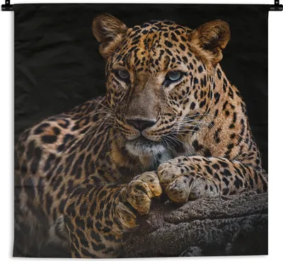 Produktbild von MuchoWow® Wandteppich Wandbehang Wildtiere - Panther - Porträt - Schwarz - Tiere 120x120 cm Tapisserie Dekoration Wandtuch - Modern - Baumwollgewebe