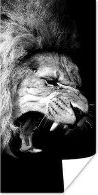 Produktbild von MuchoWow® Poster Löwe - Porträt - Schwarz - Weiß - Tiere 60x120 cm - Wandschmuck