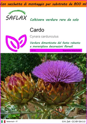 Immagine prodotto di SAFLAX Garden in the bag - Cardo  - 50 semi - Cynara