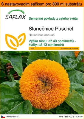Obrázek produktu pro SAFLAX Garden in the bag - Slunečnice Puschel - Helianthus annuus - 40 Semena - S pěstebním substrátem v praktickém samovztyčovacím sáčku