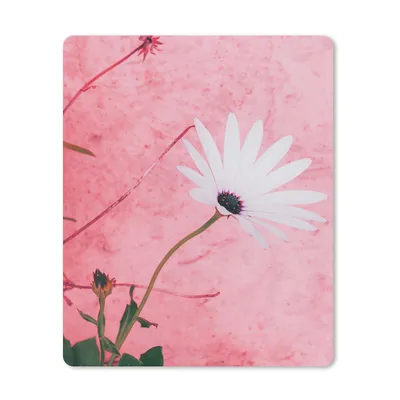 Produktbild von MuchoWow® Mauspad Mousepad Blumen - Rosa - Vintage 19x23 cm - Mousepads - Maus Mat - Pad - Mausunterlage - Mauspads - Spielen