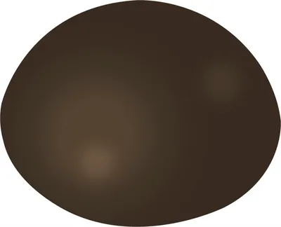 Produktbild von Wandpuffer Türpuffer ø 32 mm, Höhe 12 mm selbstklebend, Kunststoff braun