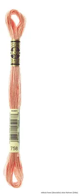 Produktbild von DMC Stickgarn Mouline Special 117MC -758, 6-fädig, 8m