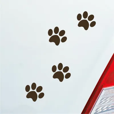 Produktbild von Auto Aufkleber Pfoten Paws Dog Hund Haustier Tier Pfote Paw 8x10 cm Braun Sticker Heckscheibenaufkleber