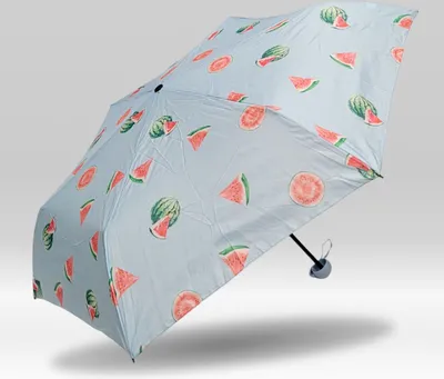 Produktbild von Mini Regenschirm Taschenschirm Schirm klein, leicht & kompakt Melonen