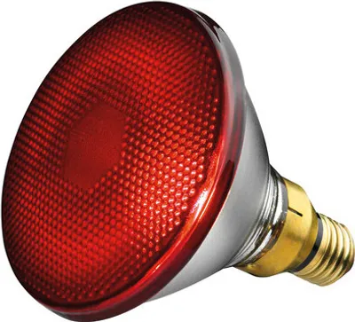 Produktbild von Náhradní lampa Beurer 150 W od společnosti Philips pro infračervené lampy