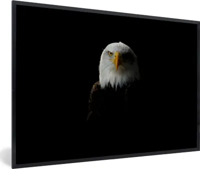 Produktbild von MuchoWow® MuchoWow® Gerahmtes Poster Ein Porträt eines Weißkopfseeadlers 60x40 cm - Poster mit zchwarzem Bilderrahmen - Printing - Wanddeko Schlafzimmer