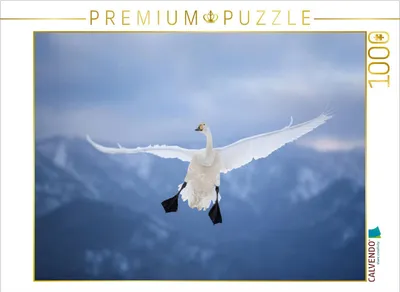 Produktbild von CALVENDO Puzzle Singschwan | 1000 Teile Lege-Größe 64 × 48 cm Foto-Puzzle für glückliche Stunden