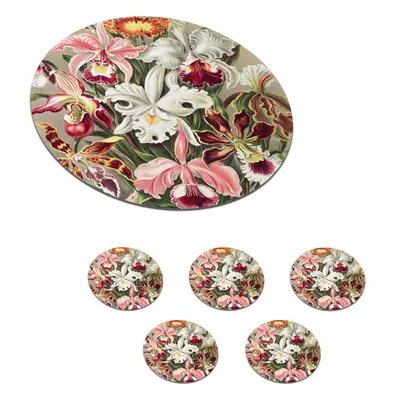 Obrázok produktu pre KitchenYeah® Podložky pod sklo Okrúhla sada 6 kvetov - Ernst Haeckel - Vintage - Orchidea 10x10 cm Podložky pod poháre - Podložky pod nápoje - Chrániče na stôl - Podložky pod poháre na stôl B