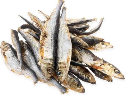 Image de Sprats séchés 4DOGS - 85 g