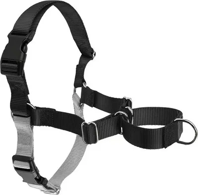 A black and gray dog harness is displayed against a white background.