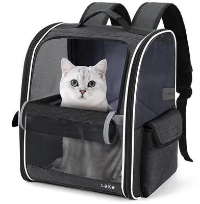 Haustierrucksack für Katzen & Hunde (2-8 kg), Netzfenster, Schwarz, M