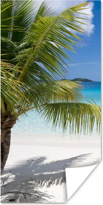 Produktbild von MuchoWow® Poster Tropische Palmen am Strand 20x40 cm - Plakat - Foto