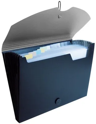 Obrázek produktu pro Idena 10078 Složka A4, PP, 12 přihrádek, šedá/černá