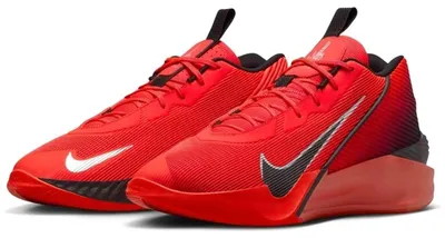 Produktbild von Basketballschuhe Nike FV5524-600 für Herren