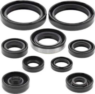 Produktbild von Motorsimmerringsatz WINDEROSA W822316