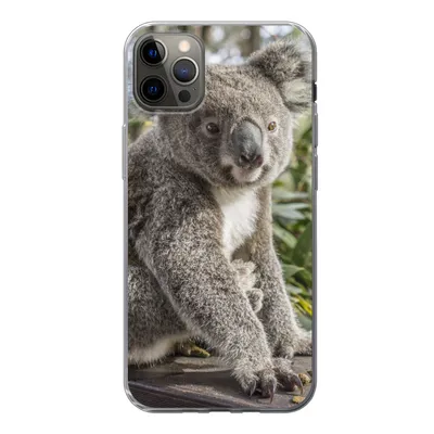 Produktbild von MuchoWow® Handyhülle Schutzhülle Hülle für iPhone 12 Pro Max Koala - Holz - Pflanzen - Kinder - Jungen - Mädchen Silikon Softcase Handy Hülle - Hartschale