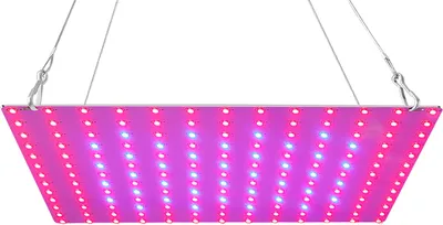 Produktbild von 81 LEDs Grow Light fuer Zimmerpflanzen 81 LEDs Rot Blau Vollspektrum LED Panel Haengepflanzen-Wachstumslampen fuer Saemlinge Blumen Gewaechshaus