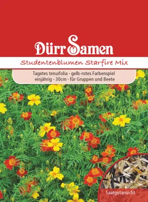 Produktbild von Studentenblume Starfire Mix | Studentenblumensamen von Dürr Samen