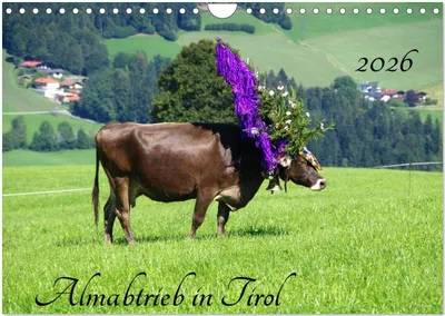 Produktbild von Almabtrieb in Tirol (Wandkalender 2026 DIN A4 quer), CALVENDO Monatskalender