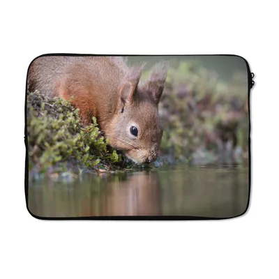 Produktbild von MuchoWow® Laptop Hülle 13 Zoll Eichhörnchen - Tier - Wasser Laptoptasche - Laptophülle - Sleeve - Rundumschutz