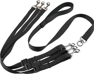 Produktbild von Hunde-Dreikopfleinen-Set mit verstellbarer Ein-zu-Drei-Leine aus Nylon