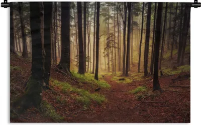 Produktbild von MuchoWow® Wandteppich Wandbehang Bäume - Natur - Wald 90x60 cm Tapisserie Dekoration Wandtuch - Wandskulpturen - Bildteppich