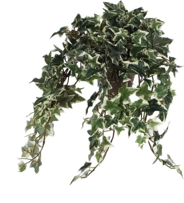 Image de Mica Decorations Plante artificielle Ivy - 45x25x25 cm - Polyester - Varié