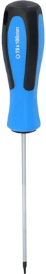 Produktbild von Brilliant Tools Schraubendreher TX, T6 x 100 mm