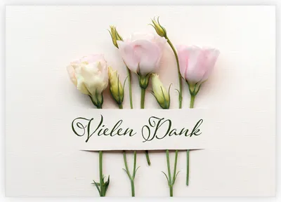 Produktbild von 4x Stilvolle Dankeskarte um im klassischen Stil mit Rosen Dankeschön zu sagen