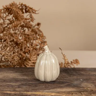 Produktbild von Kürbis Tranhult - beige: small