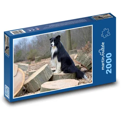 Obrázok produktu pre Puzzle 2000 Border kólia v lese - martinpuzzle