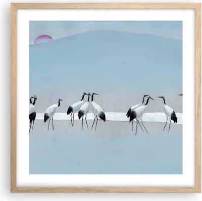 Produktbild von Gerahmtes Poster - Rahmen in heller Eiche - Vögel Kraniche Natur - 50x50 cm - Wand Bild - Wanddeko - Wandbilder - Kunstposter - Wandposter - Bilderrahmen - Bilder - Kunstdruck - P2NAC50x50-4921