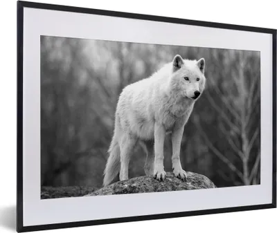 Produktbild von MuchoWow® MuchoWow® Gerahmtes Poster Wolf auf einem Stein - schwarz und weiß 60x40 cm - Poster mit zchwarzem Bilderrahmen - Schlafzimmer - Plakat in Rahmen - Drucken